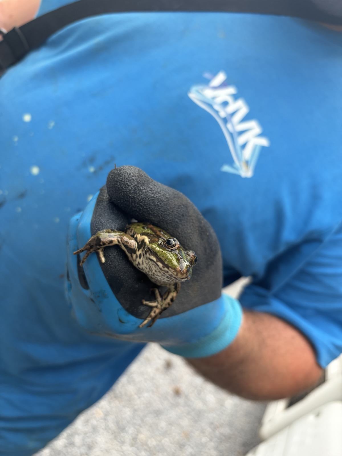 Onze ploeg aan het werk
